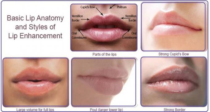 Celebre la ampliación profesional de los labios de los llenadores inyectables del labio de la humedad sin cirugía